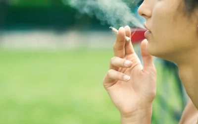 Perspectives sur la santé mentale et la consommation de cannabis chez les jeunes de 12 à 25 ans.